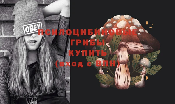дживик Алексин
