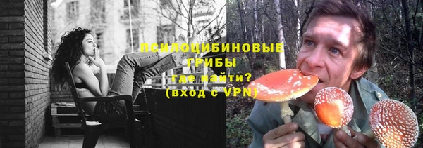 дживик Алексин