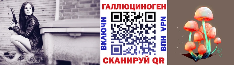 Галлюциногенные грибы GOLDEN TEACHER где продают Стародуб