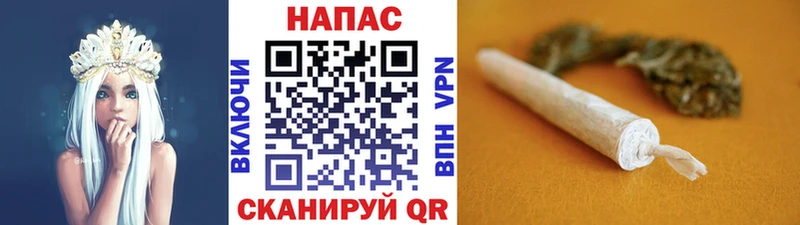 блэк спрут ссылка  Стародуб  Каннабис план 